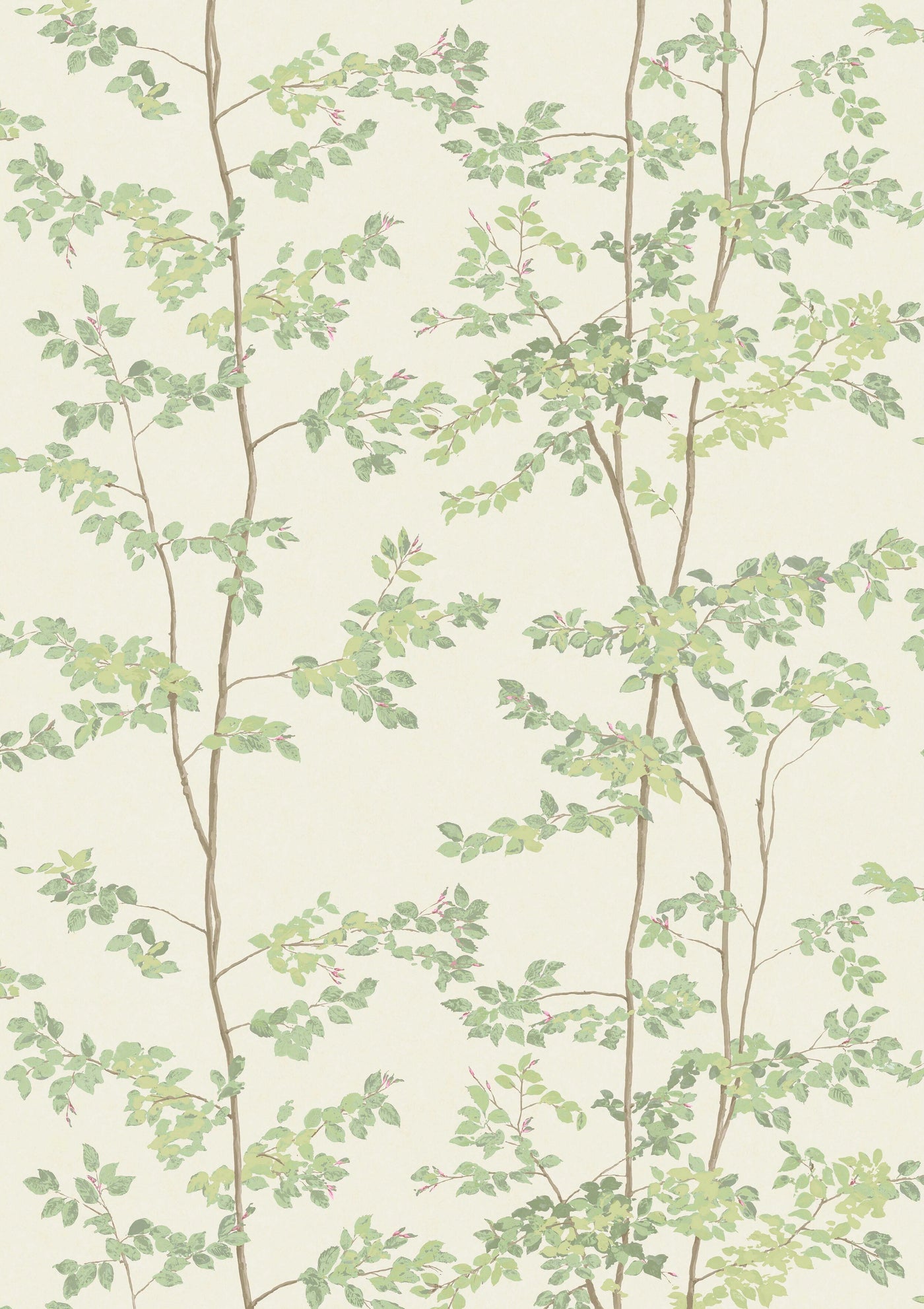 Beech Document Green – hel bredd — Lewis & Wood tyg