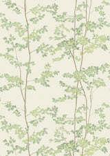 Beech Document Green – hel bredd — Lewis & Wood tyg