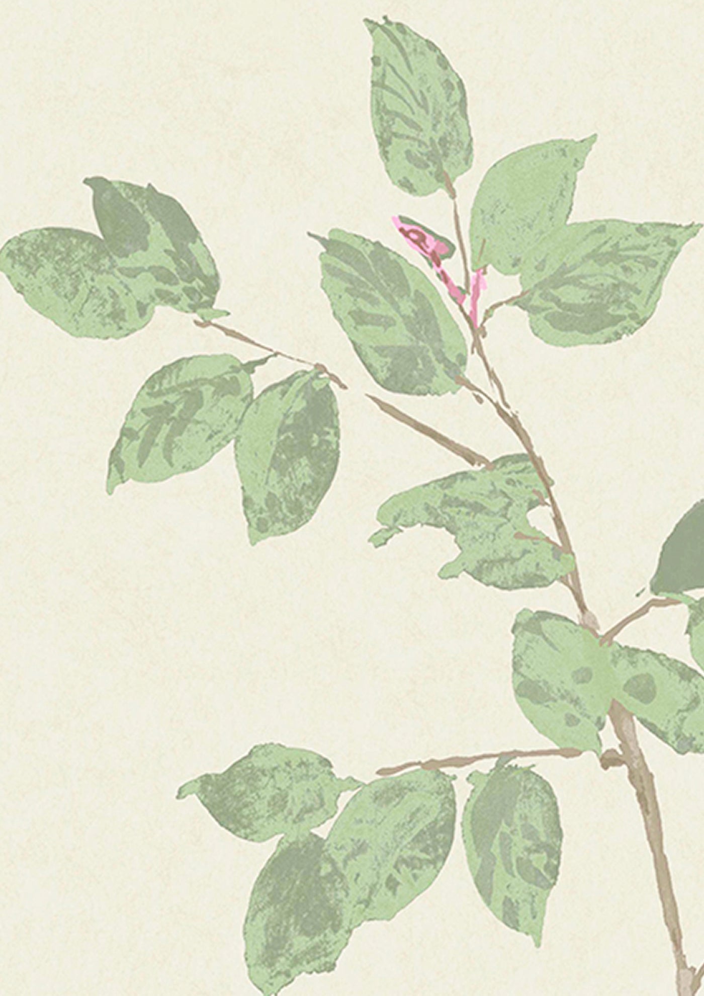 Beech Document Green — Lewis & Wood tapet