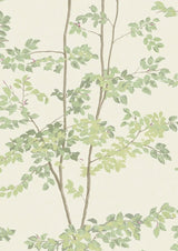 Beech Document Green – närbild — Lewis & Wood tyg