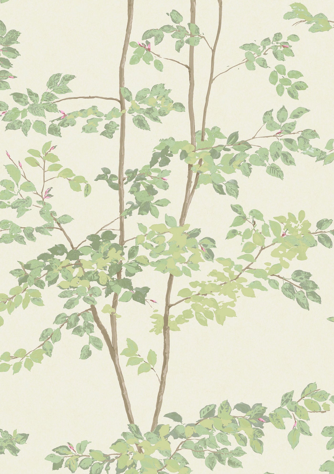 Beech Document Green – närbild — Lewis & Wood tapet