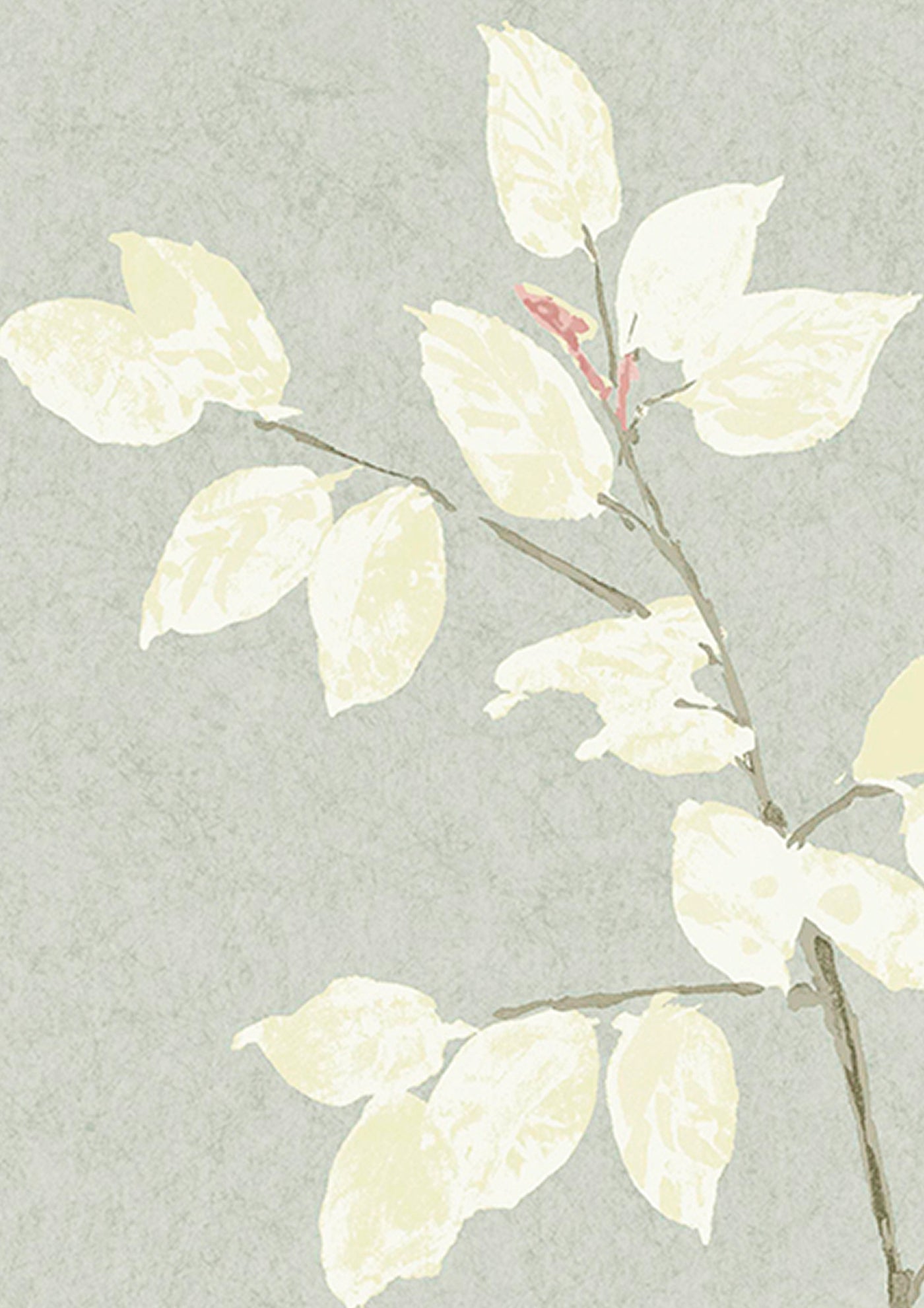 Beech Dove — Lewis & Wood tapet