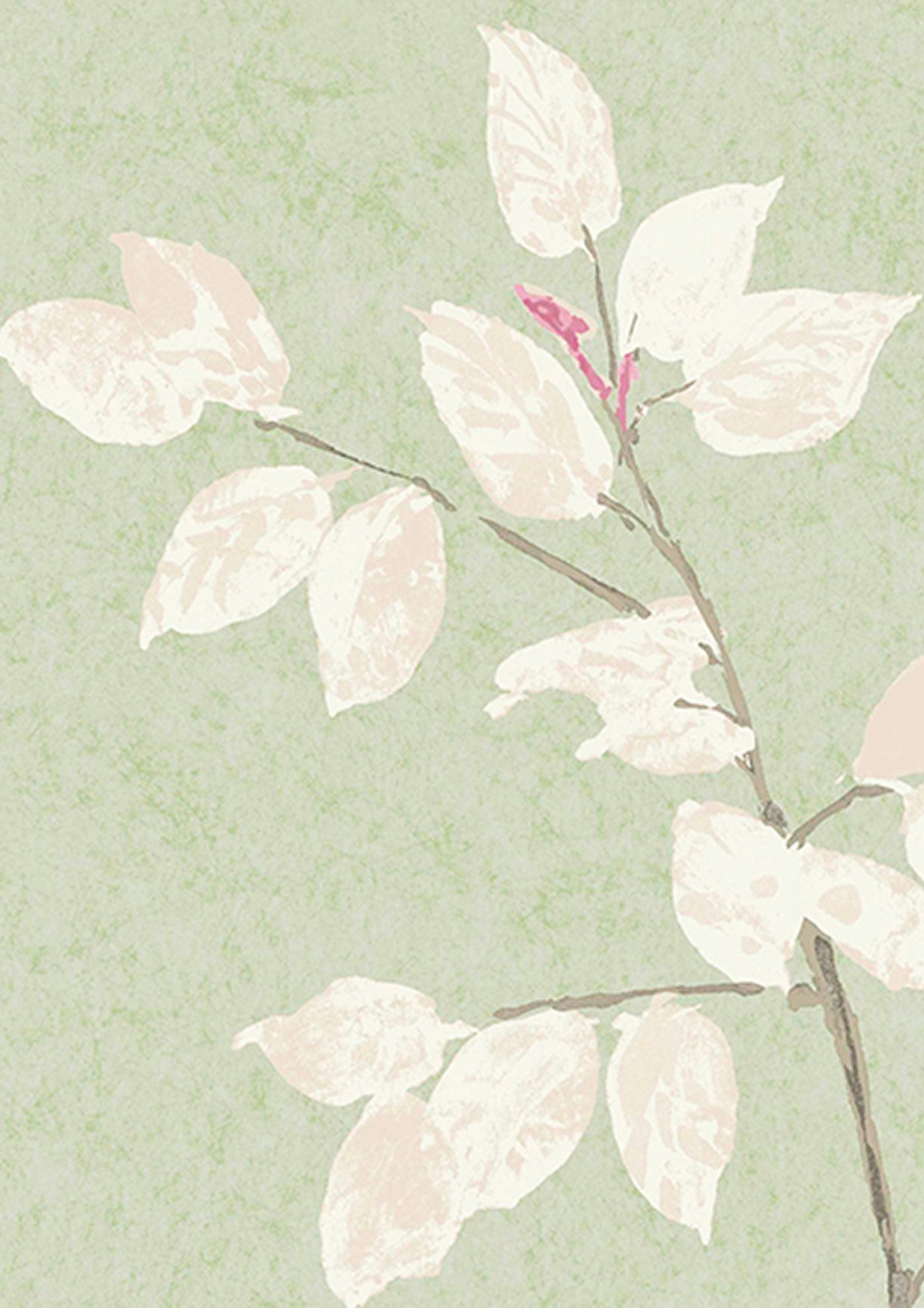 Beech Tapetprov Jade
