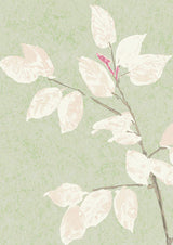 Beech Tapetprov Jade