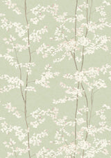 Beech Jade — Lewis & Wood