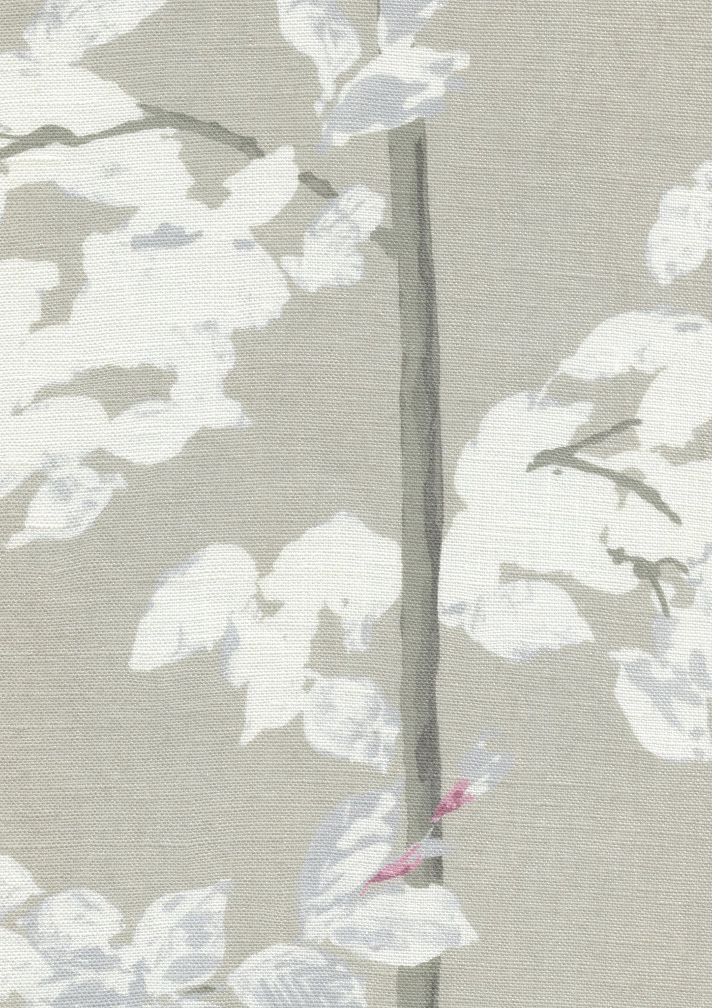 Beech Tygprov Linen