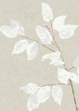 Beech Tapetprov Linen