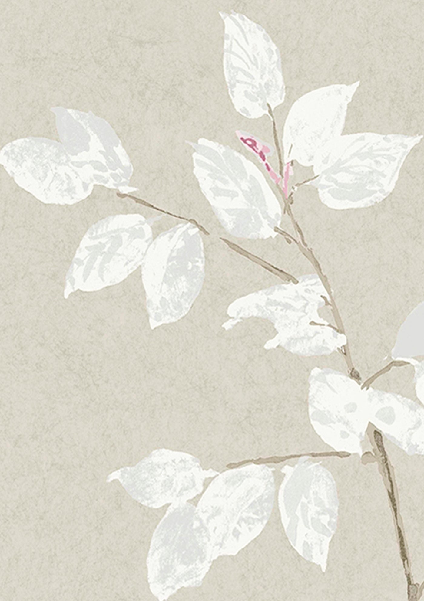 Beech Linen — Lewis & Wood tapet
