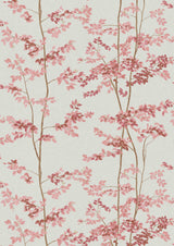 Beech Rose – hel bredd — Lewis & Wood tapet
