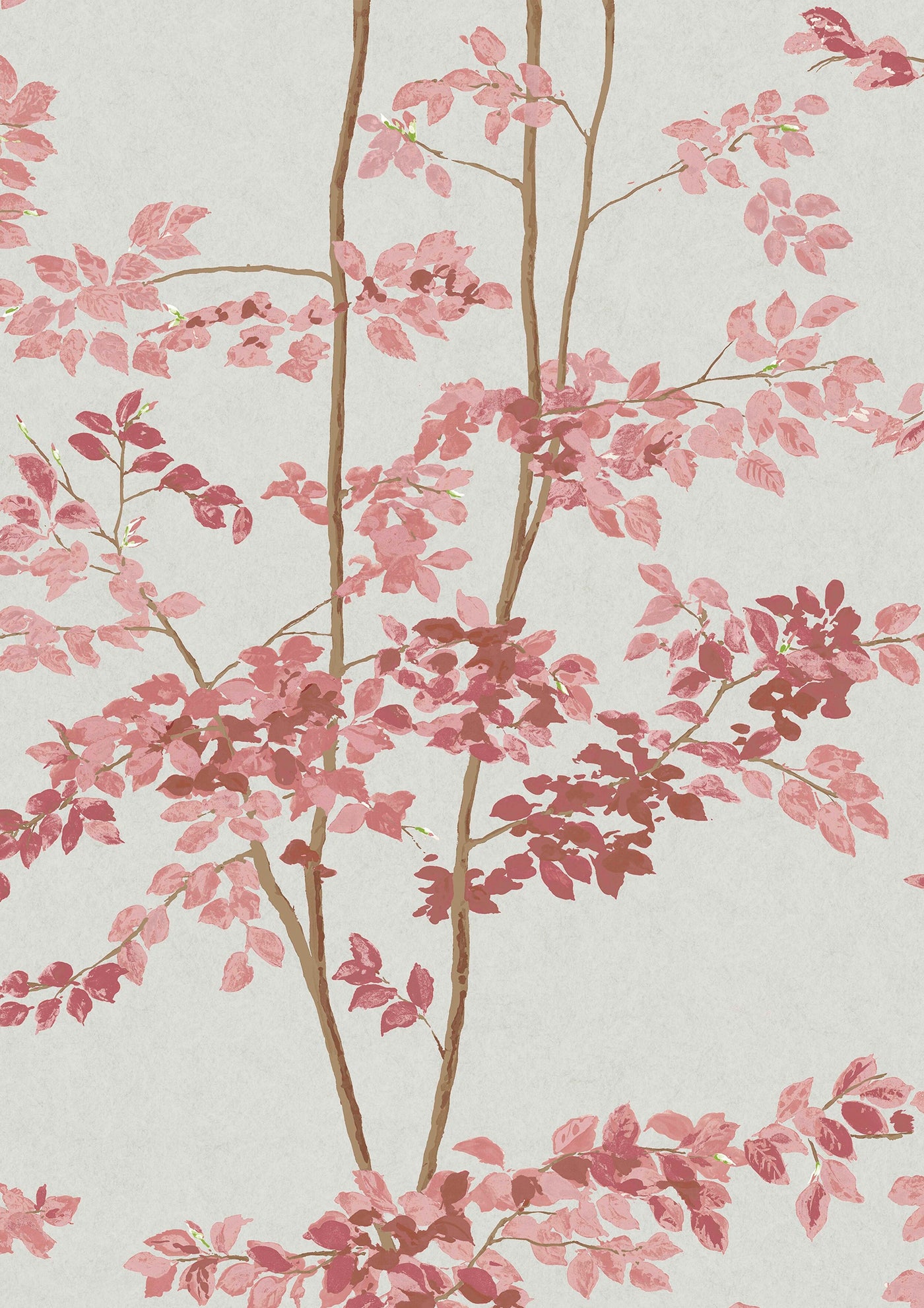 Beech Rose – närbild — Lewis & Wood tapet