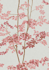 Beech Rose – närbild — Lewis & Wood tapet