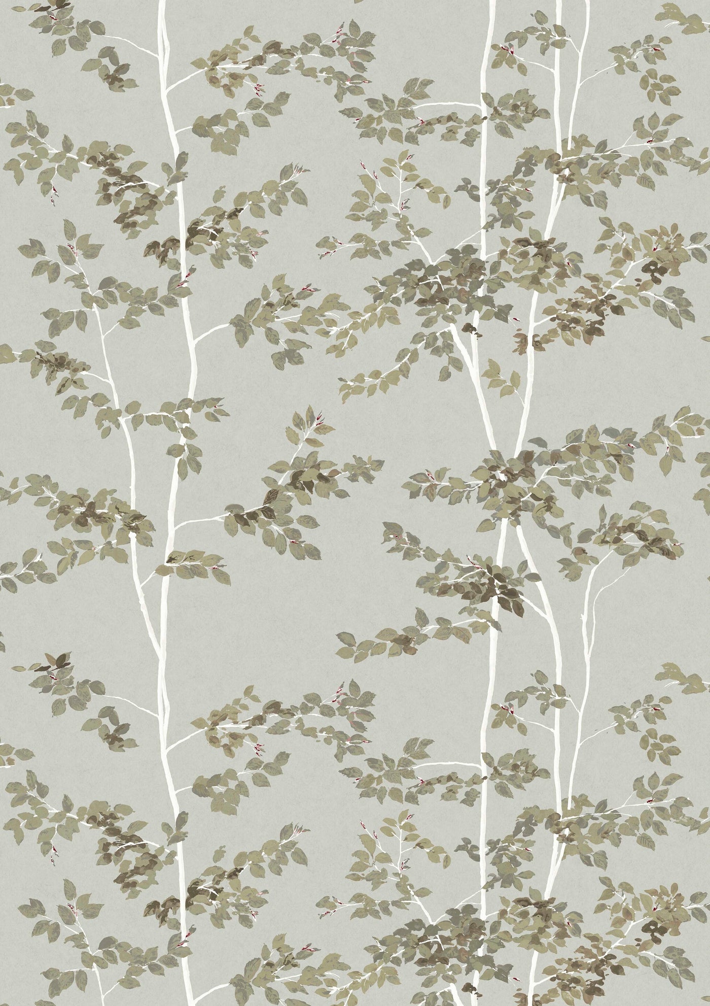 Beech Silverstone — Lewis & Wood