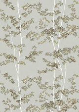 Beech Silverstone – hel bredd — Lewis & Wood tapet