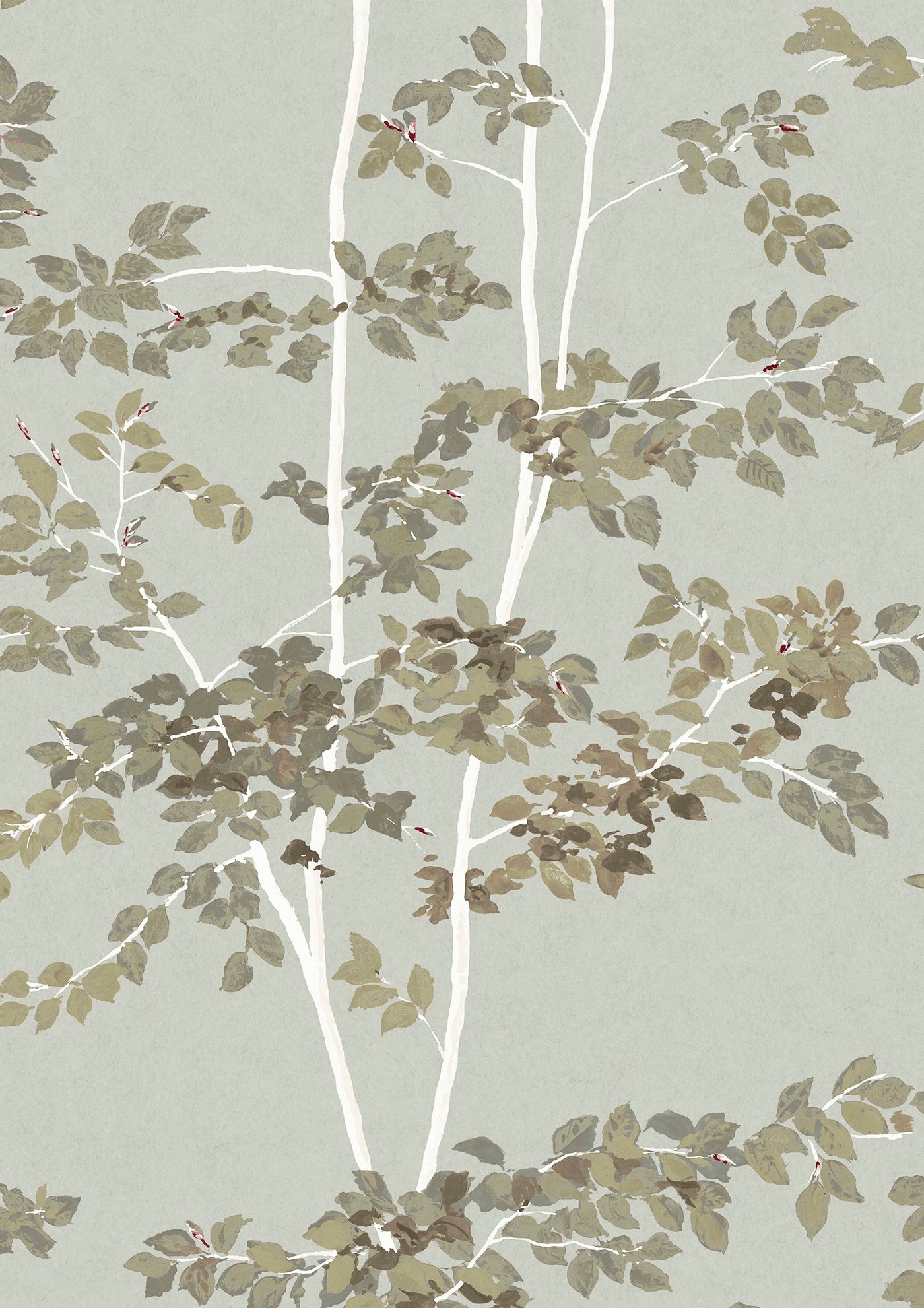 Beech Silverstone – närbild — Lewis & Wood tapet