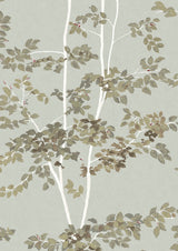 Beech Silverstone – närbild — Lewis & Wood tapet