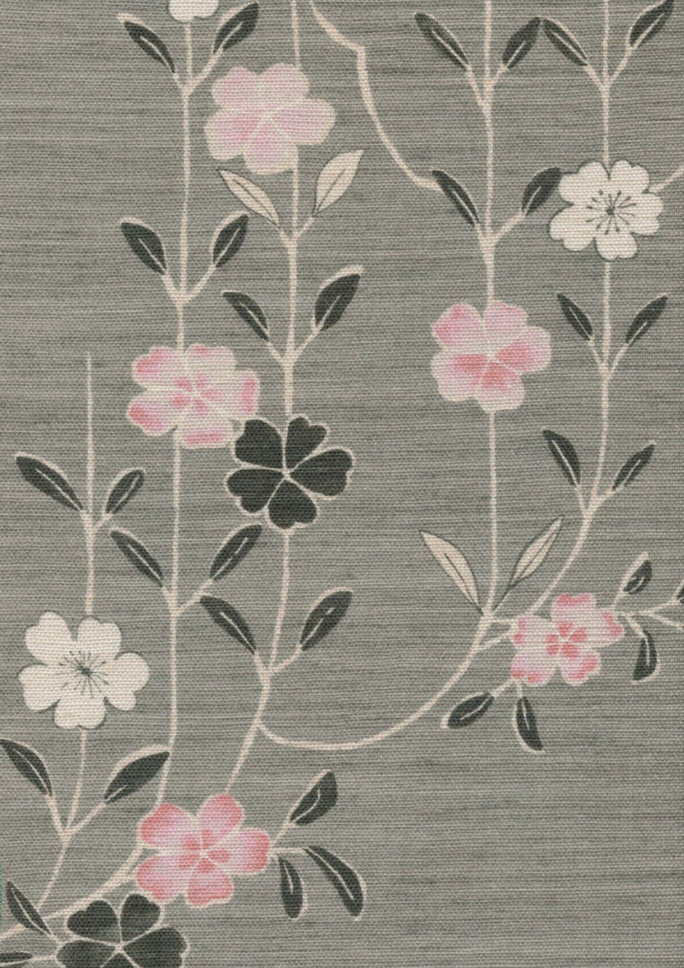 Blossom Tygprov Powder Cloud