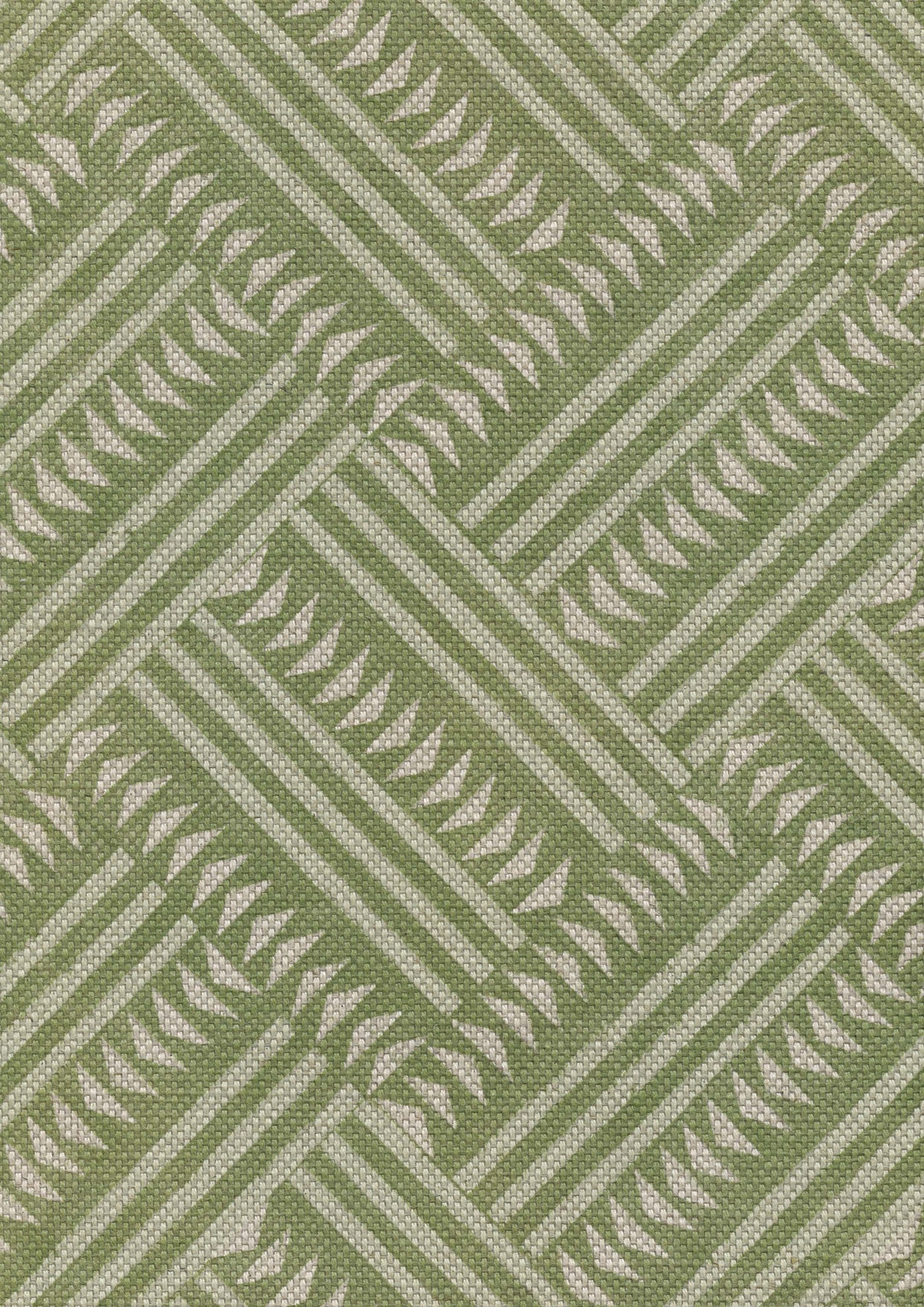 Checkerbox Tygprov Cactus