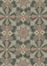 Conway Tygprov Aster