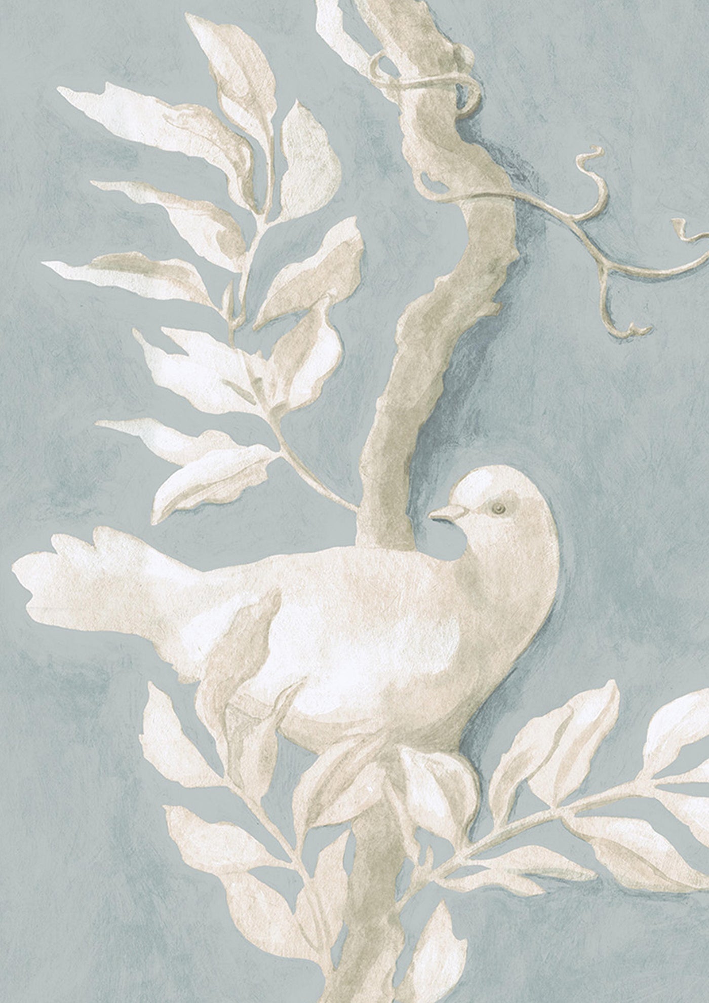 Doves Tapetprov Rock Dove