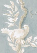 Doves Tapetprov Rock Dove