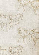 Equus Tygprov Equus