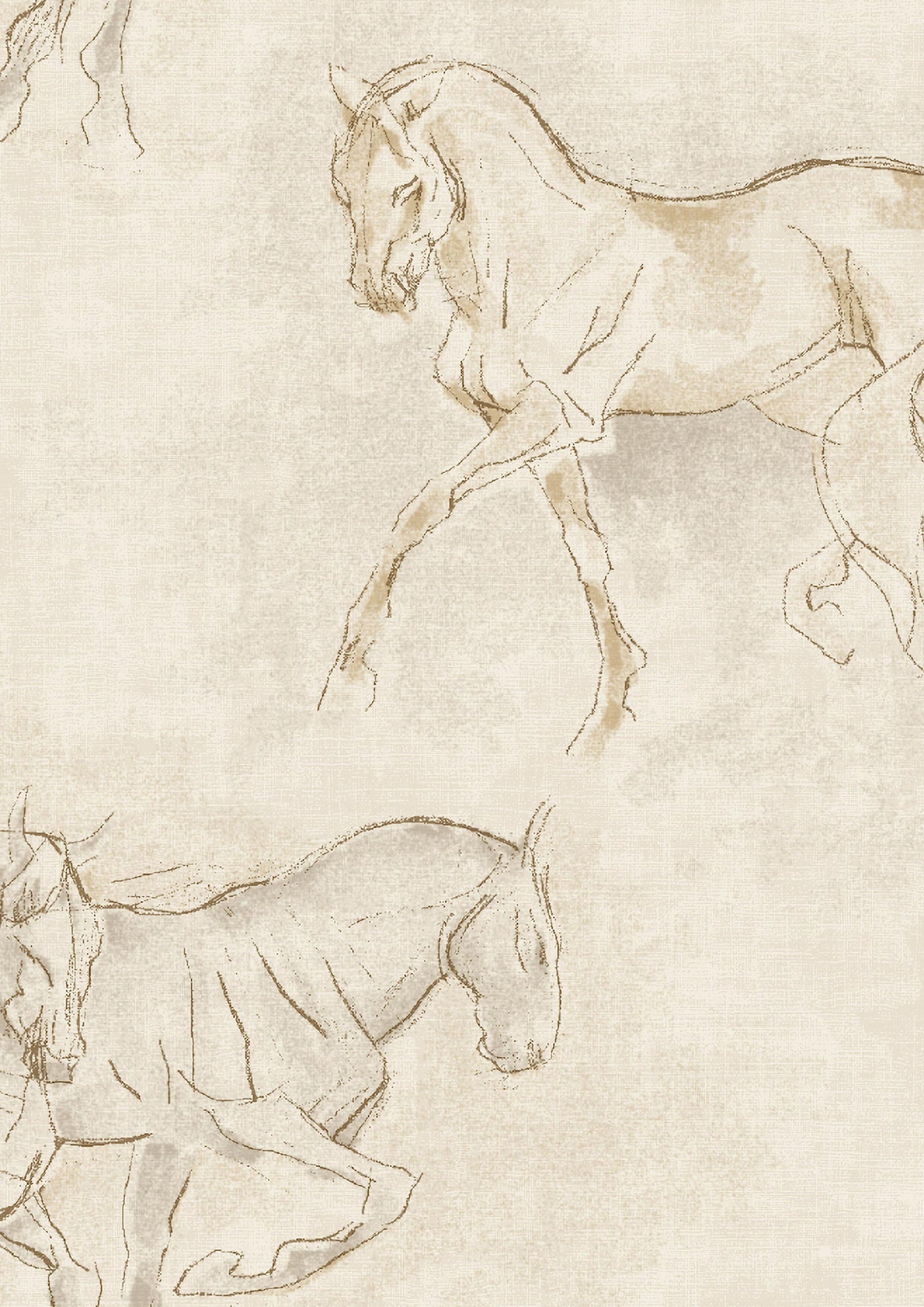 Equus Tapetprov Equus