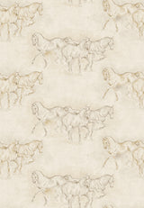 Equus Equus – närbild — Lewis & Wood tapet