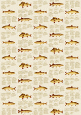 European Fish European Fish – hel bredd — Lewis & Wood tyg