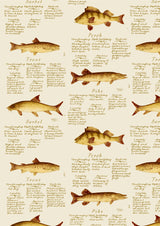 European Fish European Fish – närbild — Lewis & Wood tyg