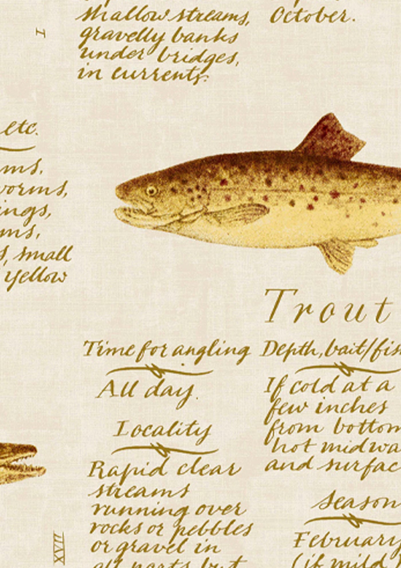 European Fish Tapetprov European Fish