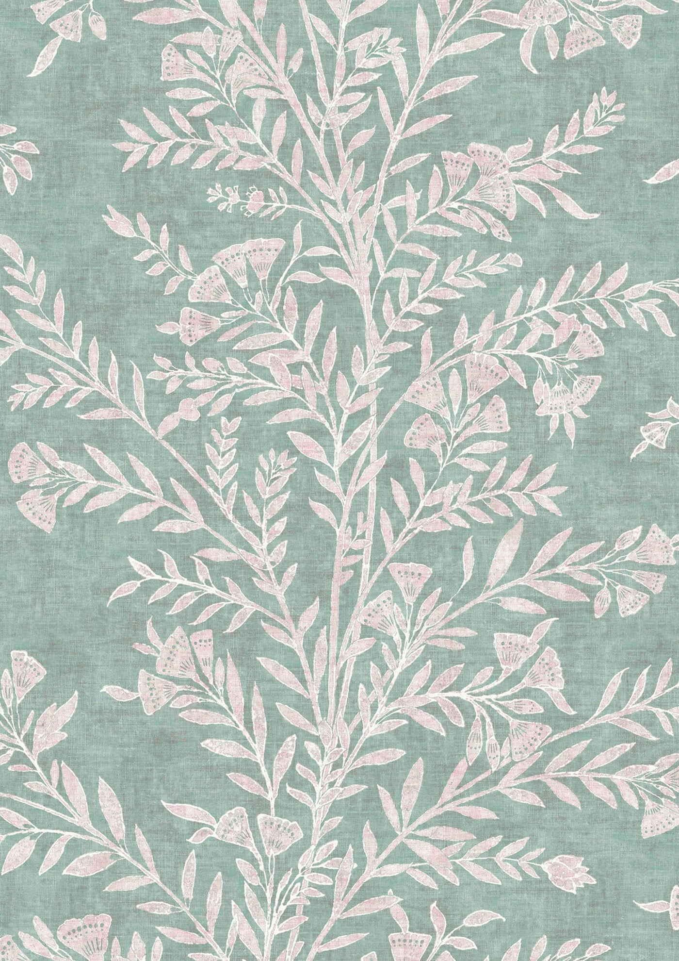 Fan Flower Eucalyptus – närbild — Lewis & Wood tapet