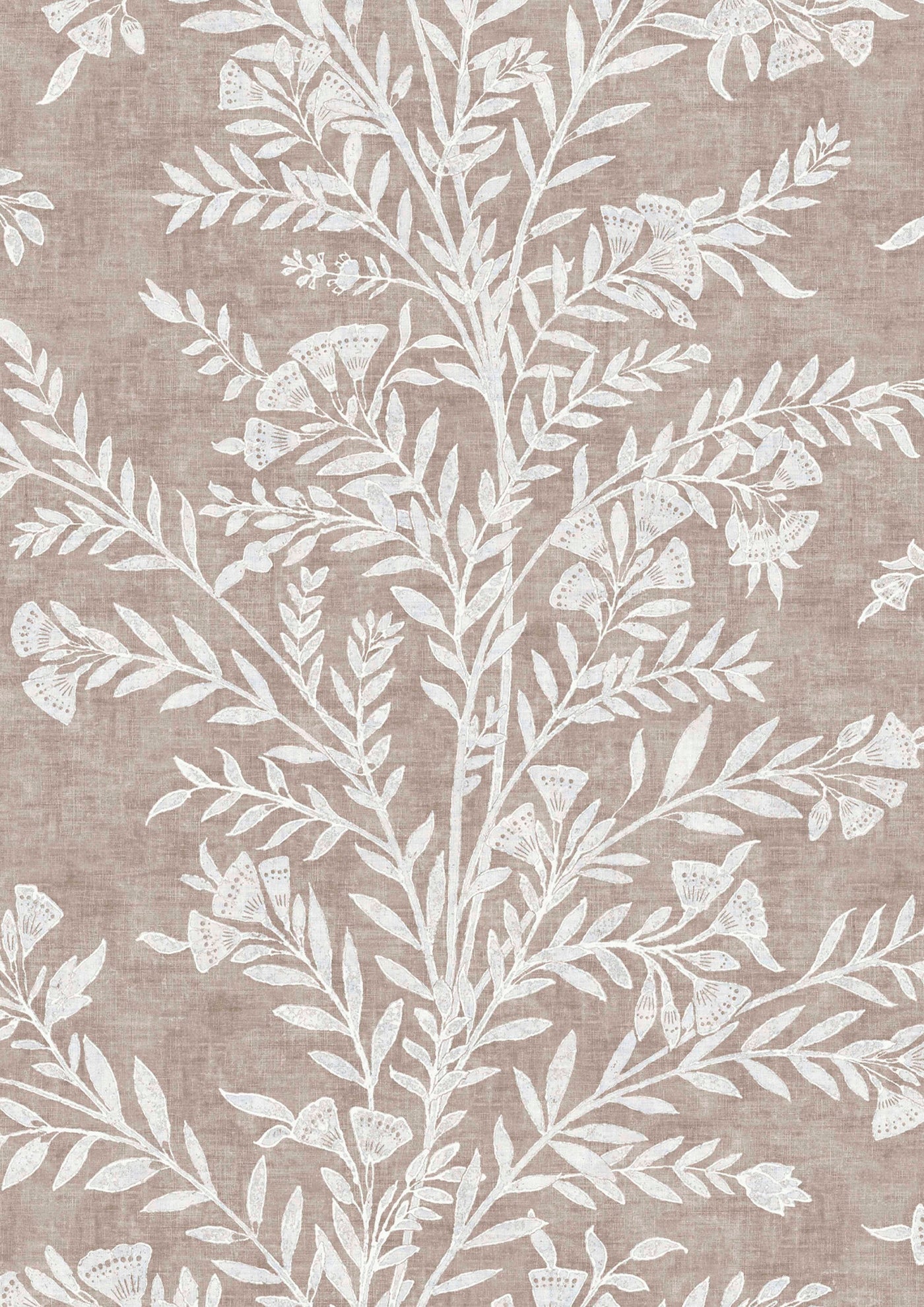 Fan Flower Plaster – närbild — Lewis & Wood tapet