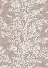 Fan Flower Plaster – närbild — Lewis & Wood tapet