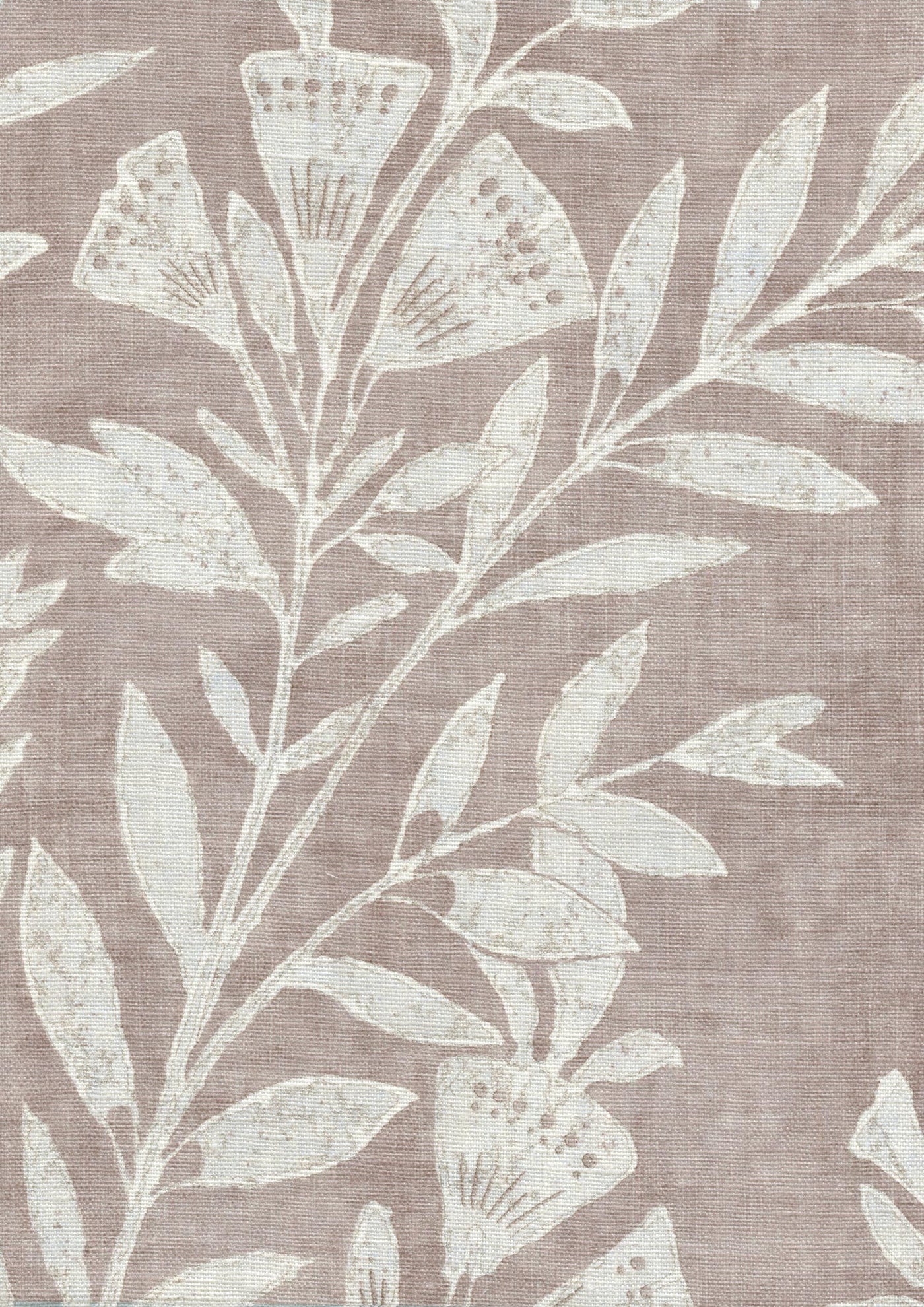 Fan Flower Tygprov Shell