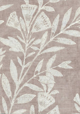 Fan Flower Tygprov Shell