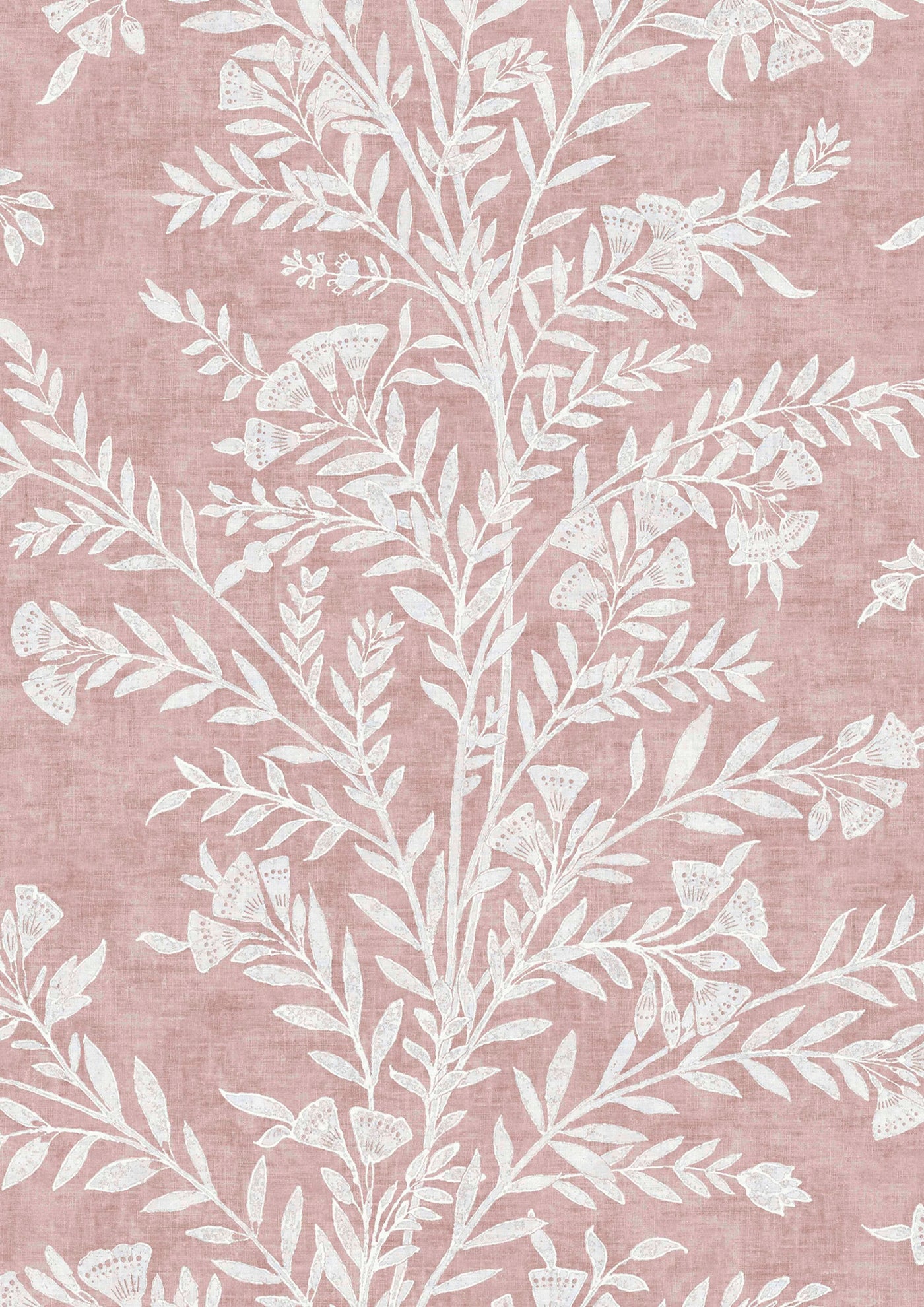 Fan Flower Shell – närbild — Lewis & Wood tapet