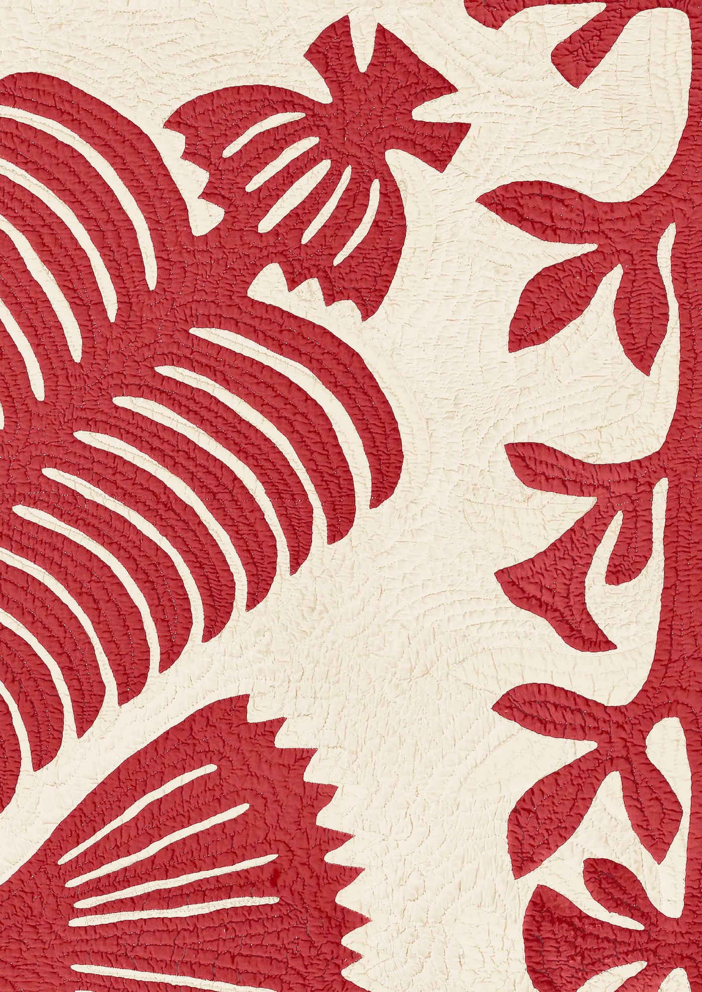 Hawaiian Tygprov Coral