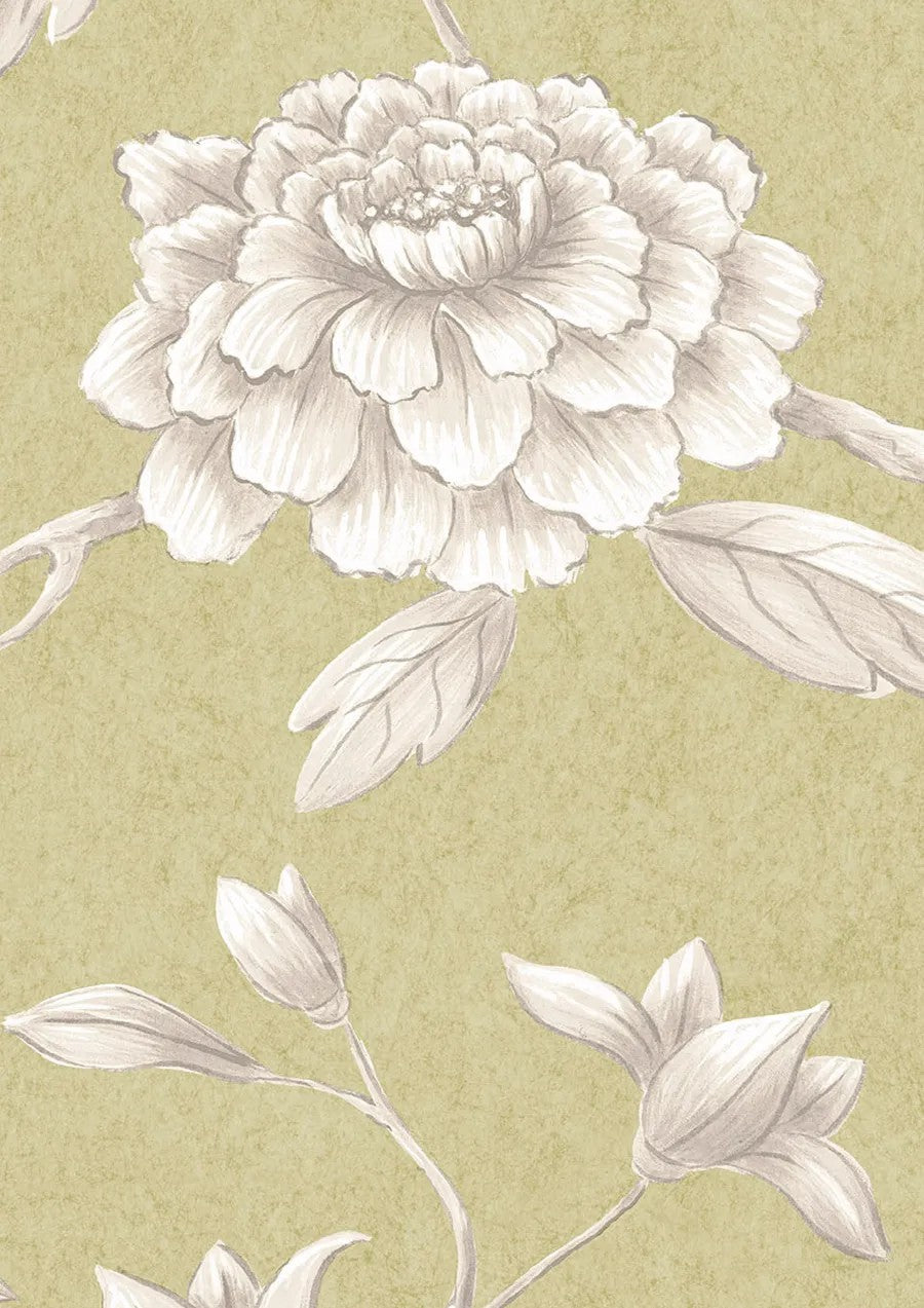 Jasper Peony Beech — Lewis & Wood tapet