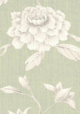Jasper Peony Eau de Nil — Lewis & Wood tapet