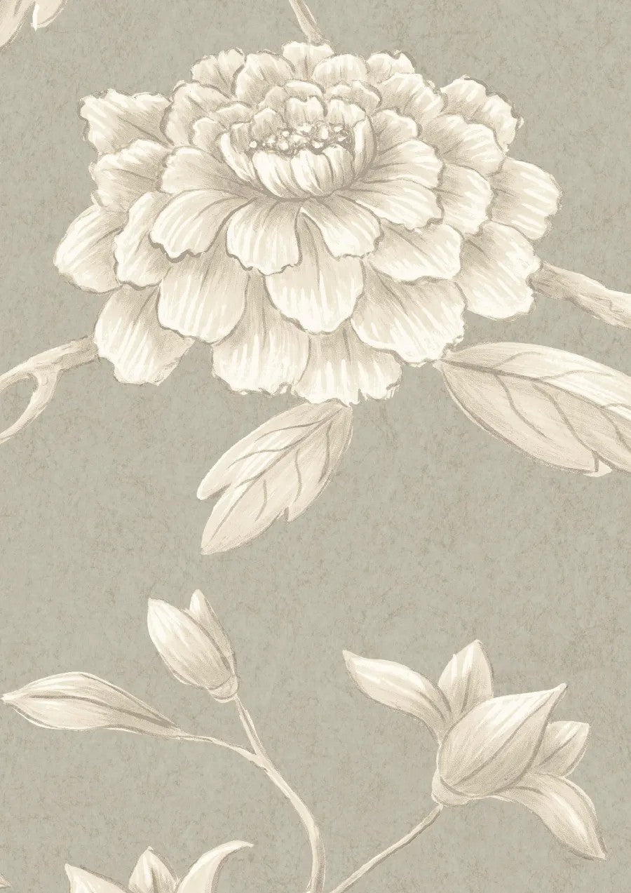 Jasper Peony Pumice — Lewis & Wood tapet