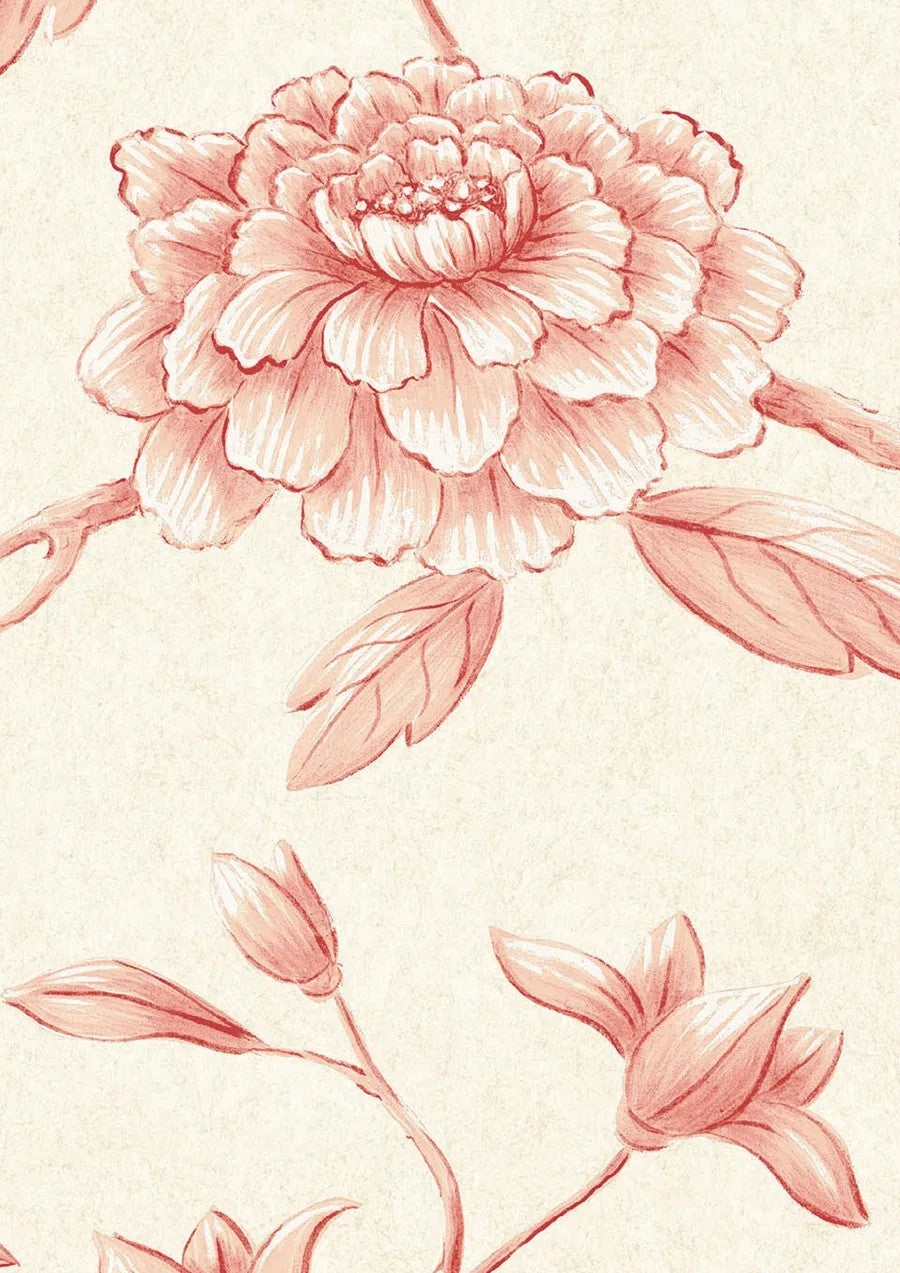 Jasper Peony Rose — Lewis & Wood tapet