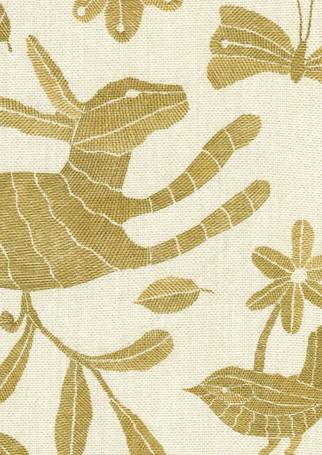 Otomi Tygprov Chick