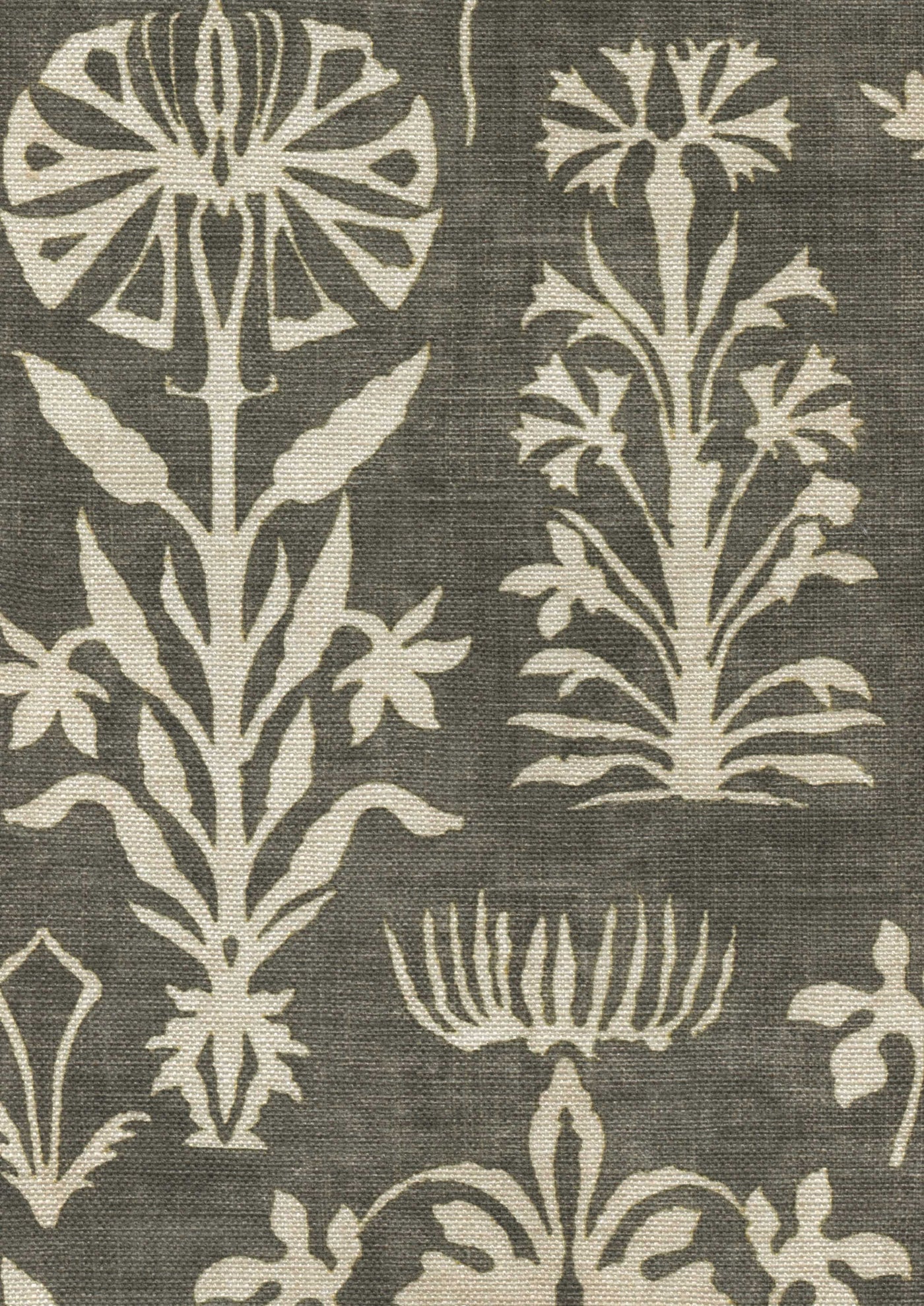 Papyrus Tygprov Nero