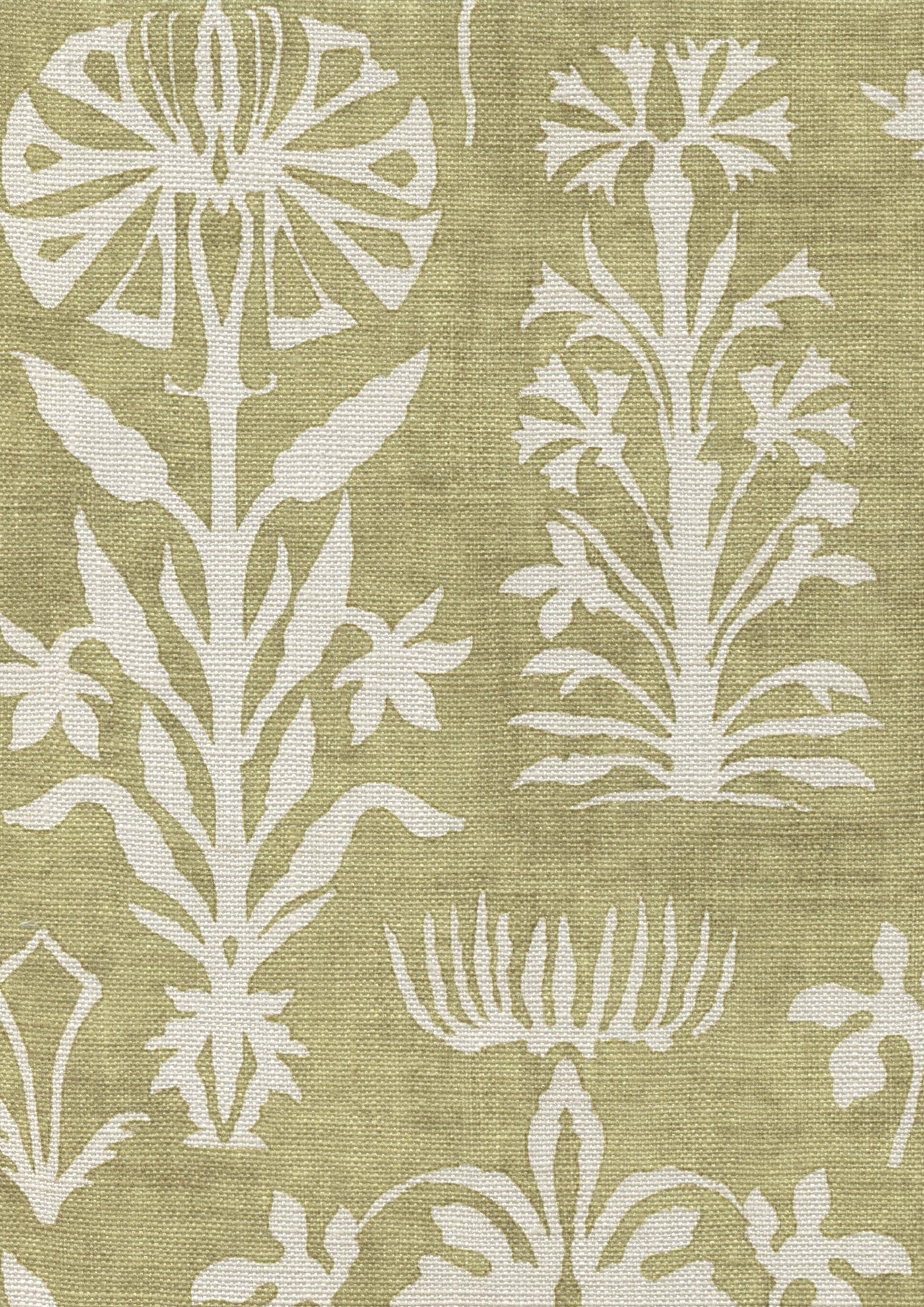 Papyrus Tygprov Quince