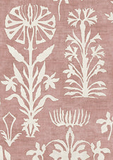 Papyrus Rosewater — Lewis & Wood tapet