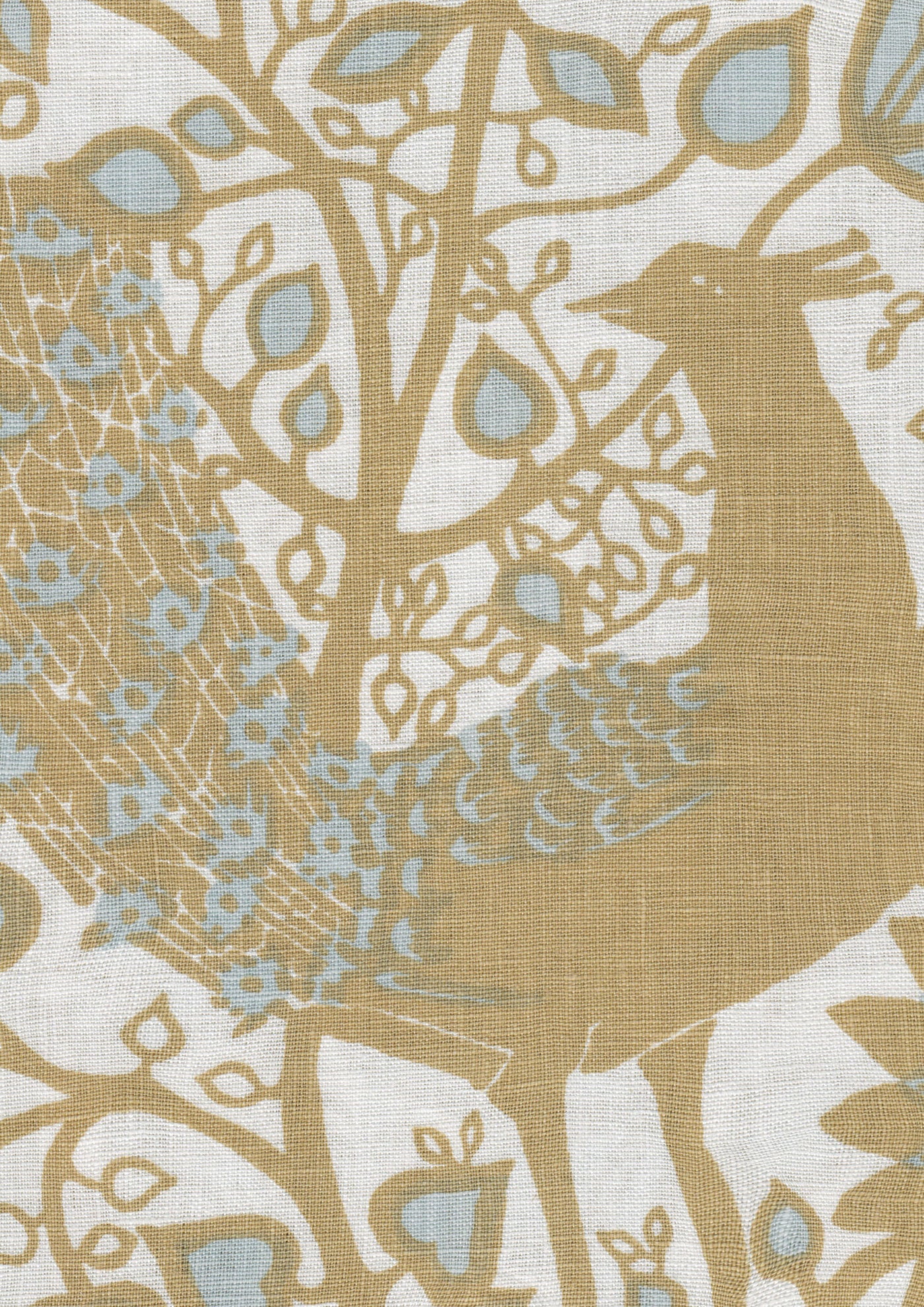 Peacock Tygprov Cava