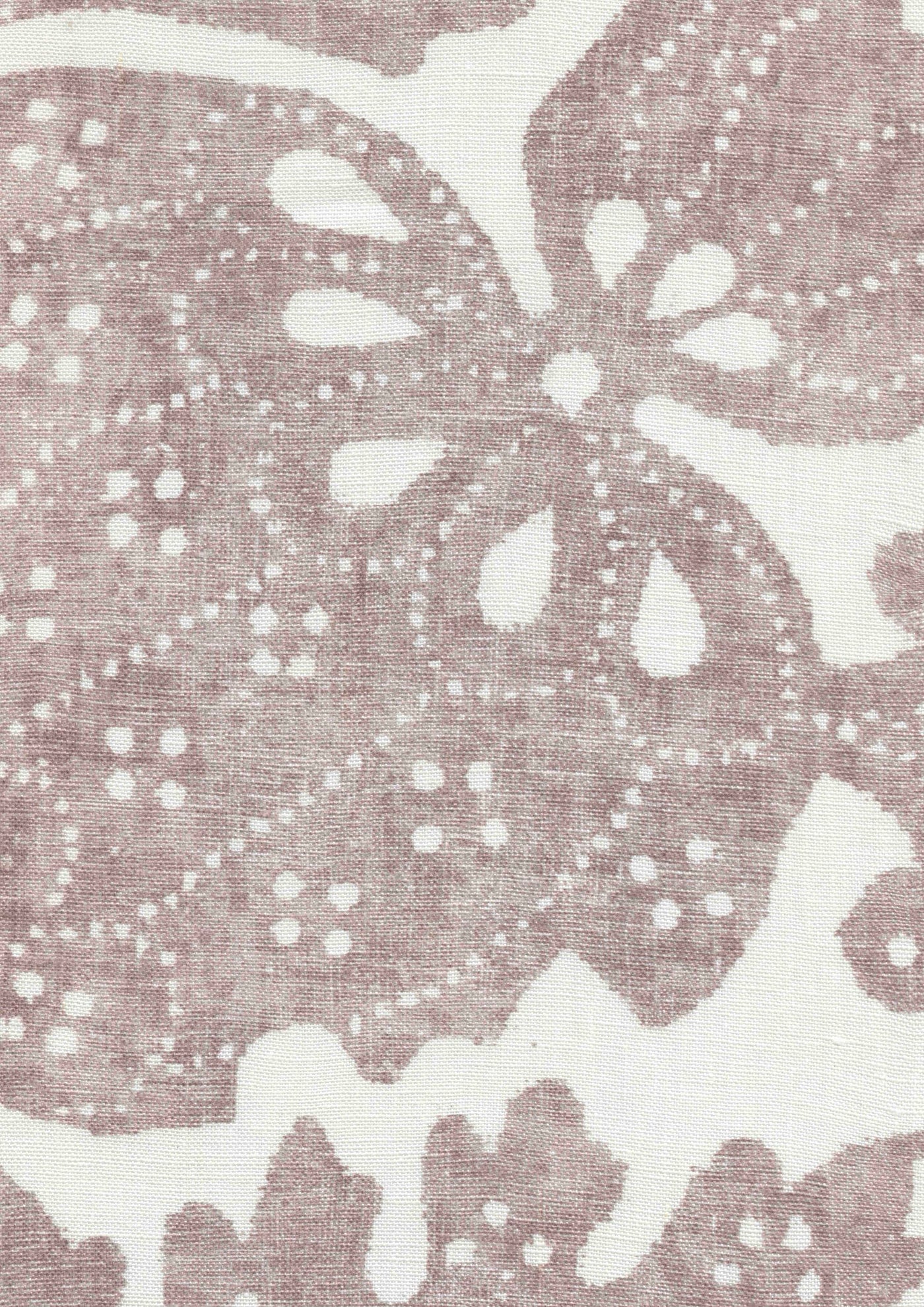 Pomegranate Fresco Tygprov Hellebore