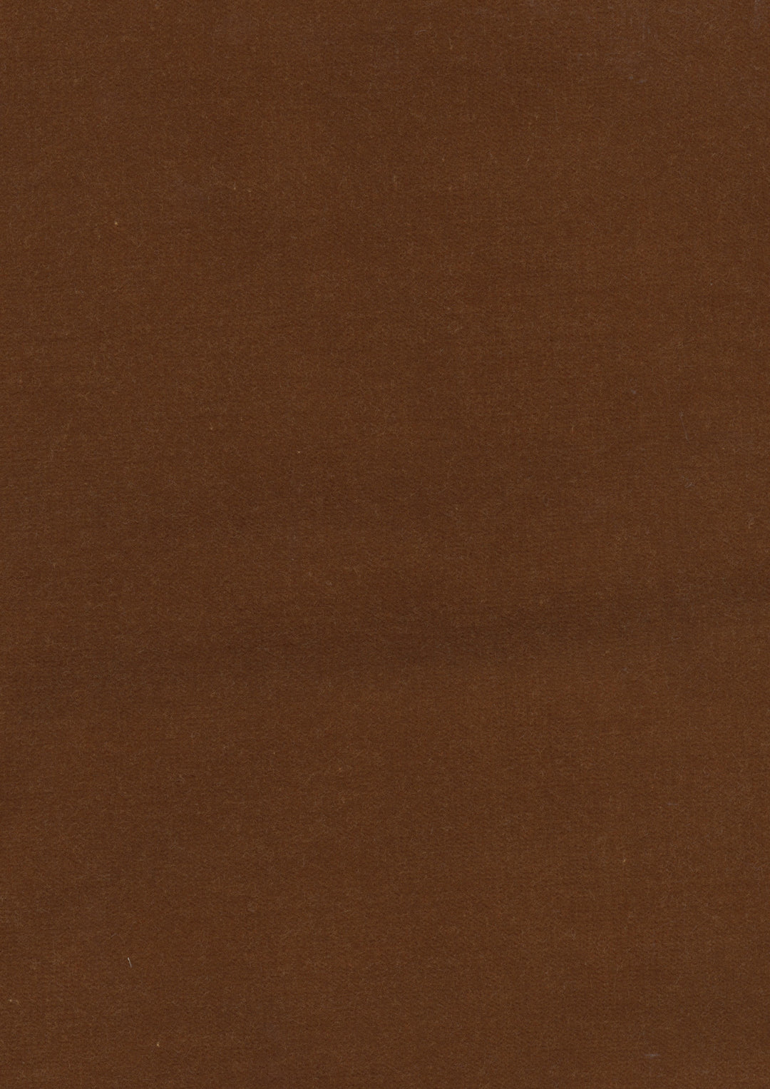 Rooksmoor Velvet Amber — Lewis & Wood tyg