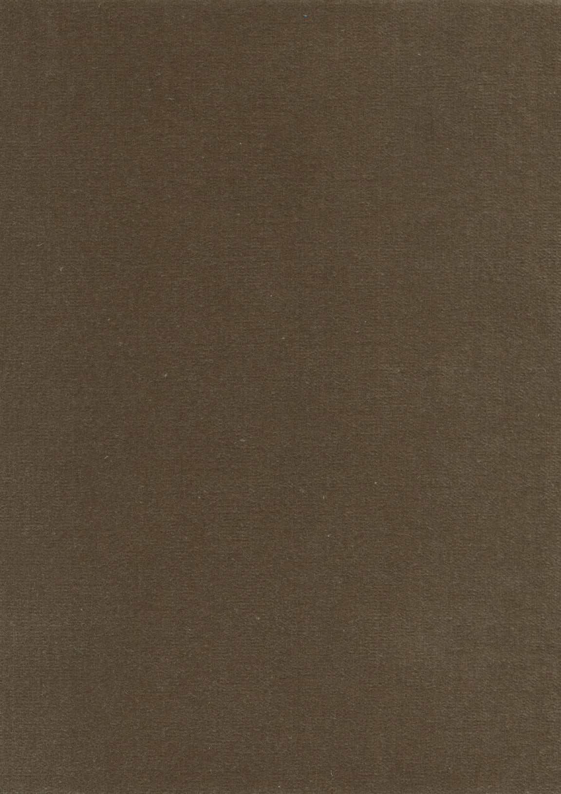 Rooksmoor Velvet Tygprov Cocoa