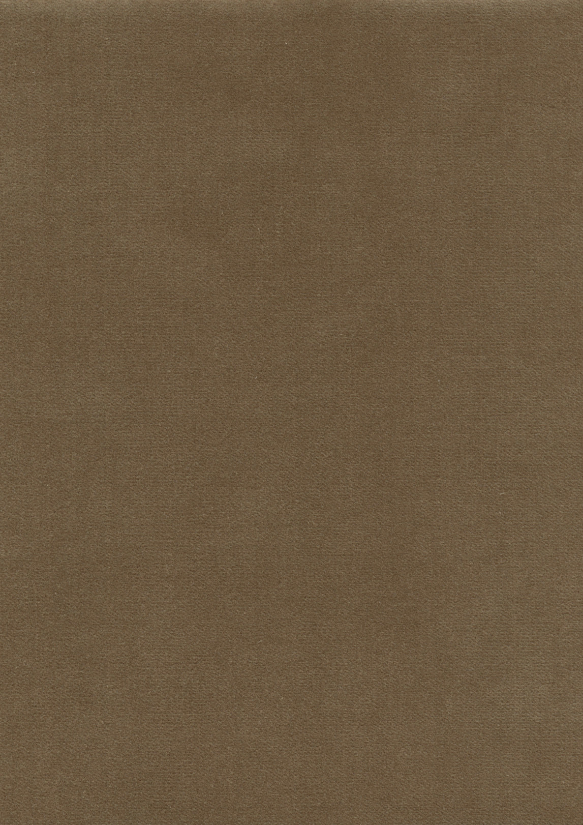 Rooksmoor Velvet Tygprov Fawn